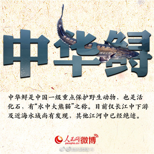 “昆明五华发布”微博