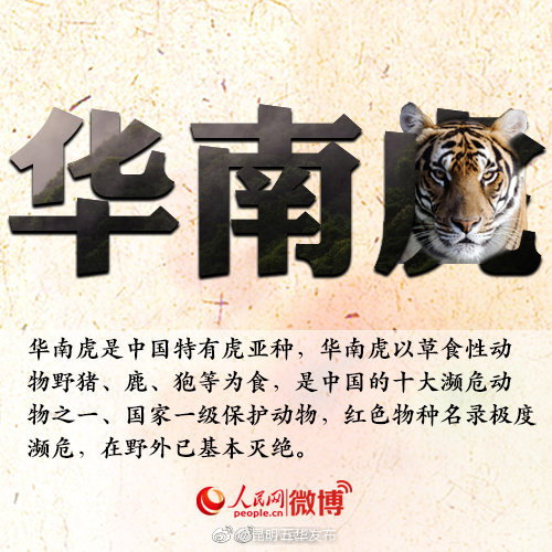 “昆明五华发布”微博