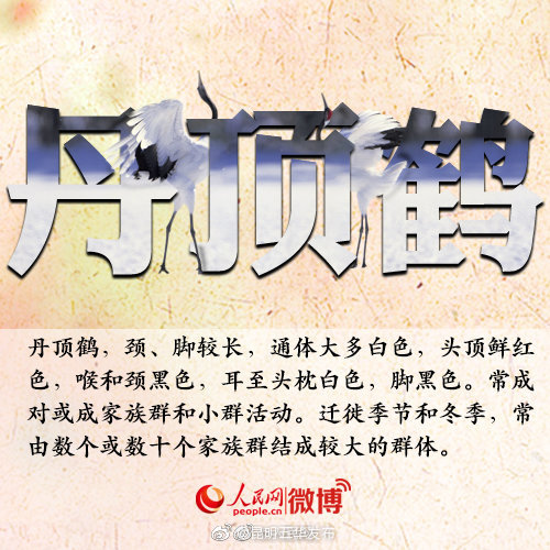 “昆明五华发布”微博