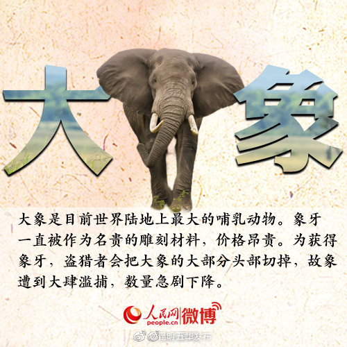“昆明五华发布”微博