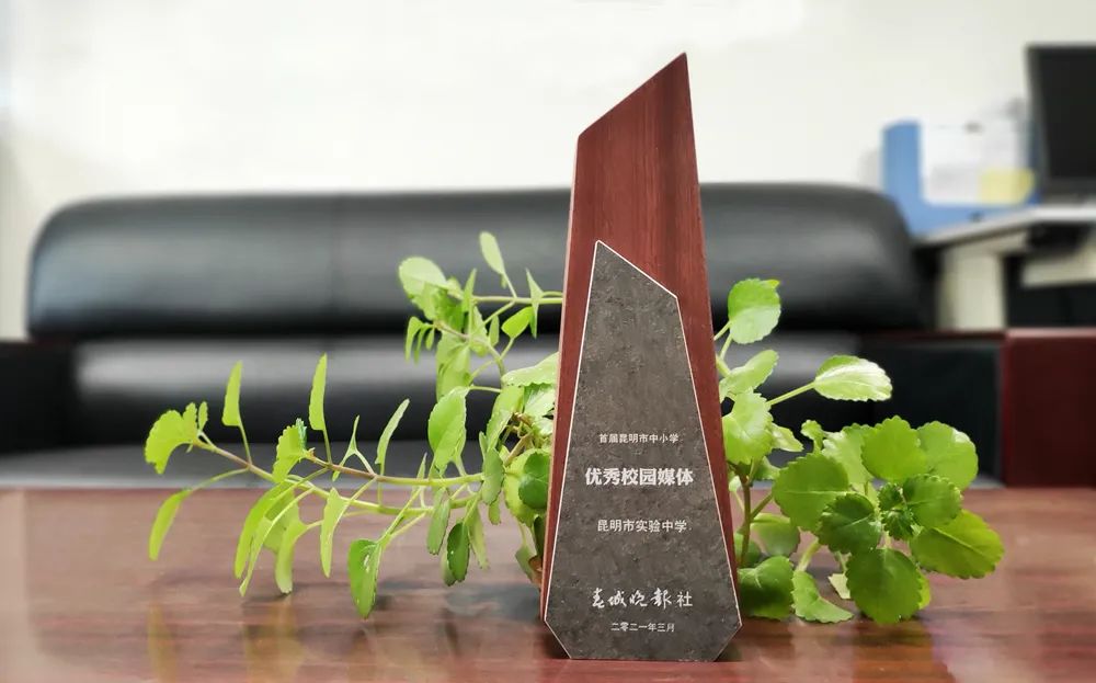 盘龙教育(微信)