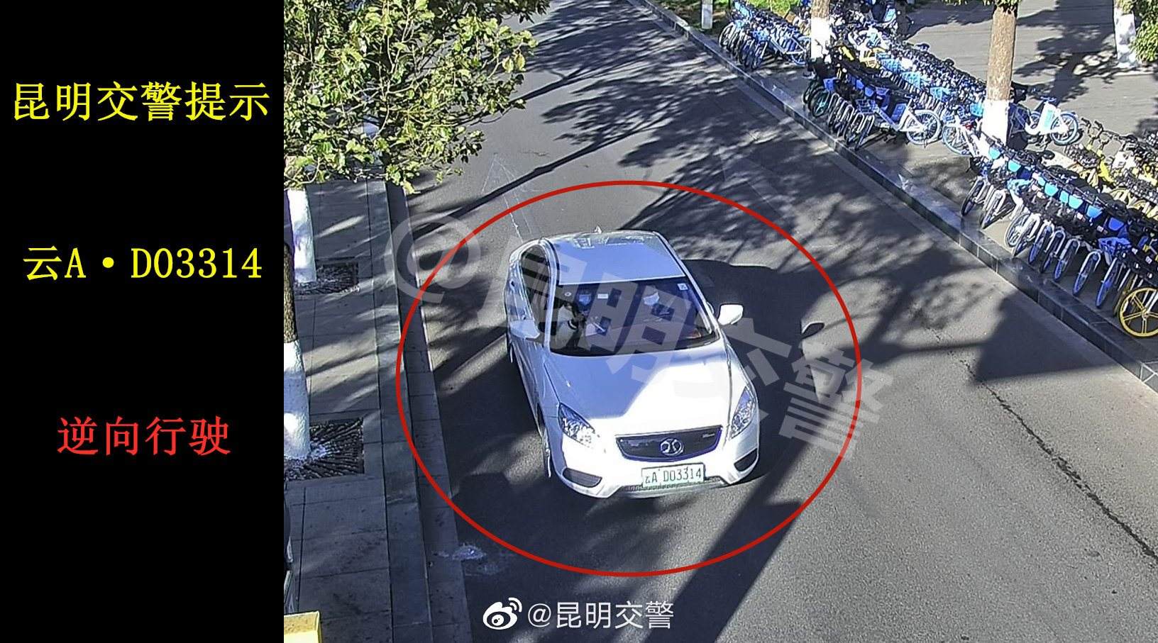 昆明交警微博