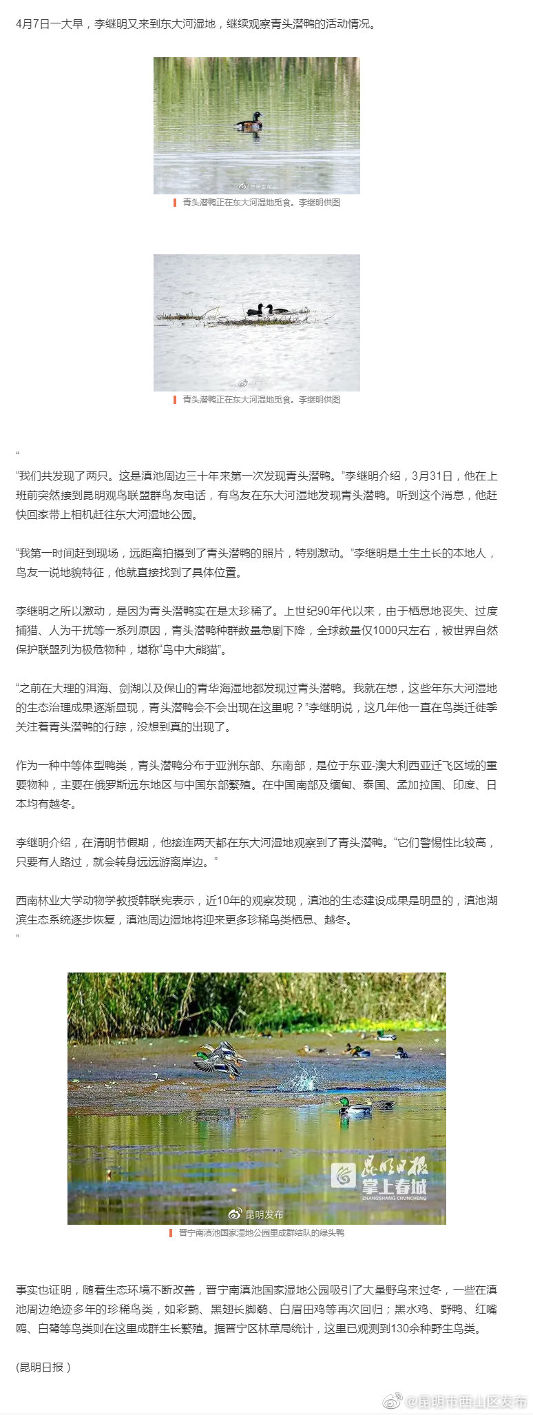 “昆明市西山区发布”微博