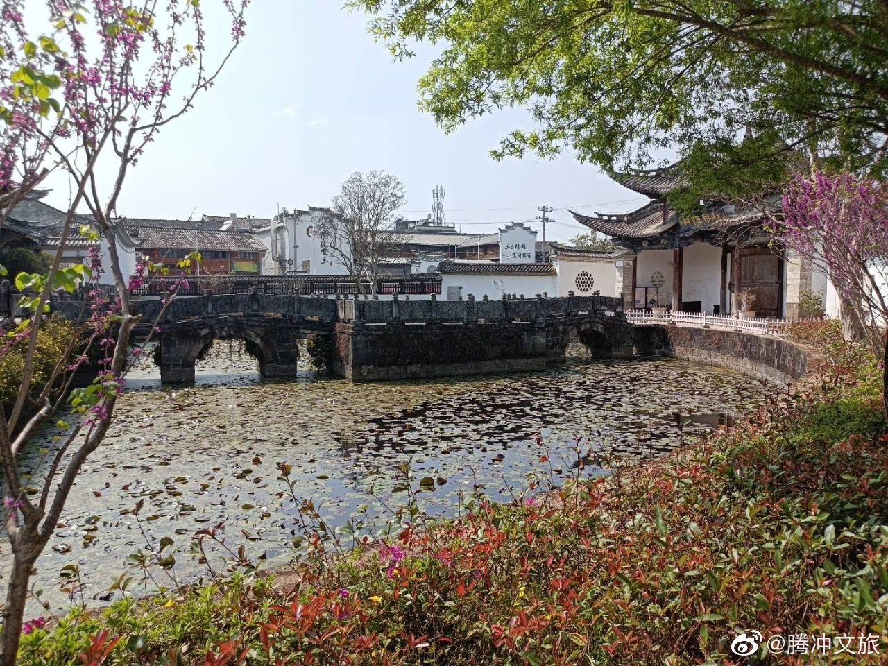 腾冲文旅微博
