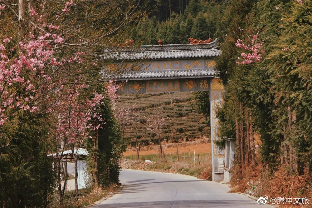 腾冲文旅微博