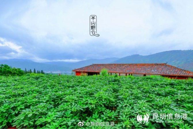 昆明信息港微博
