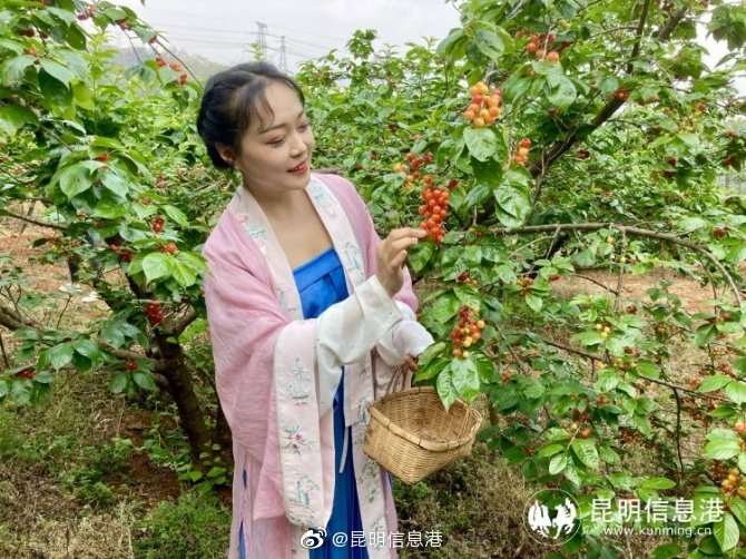 昆明信息港微博