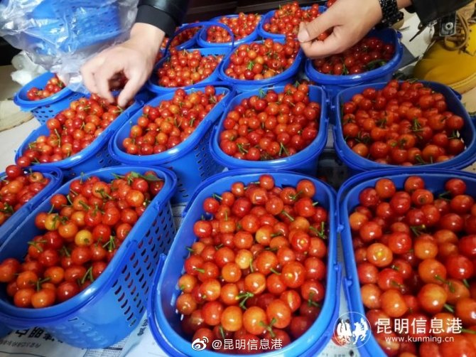 昆明信息港微博