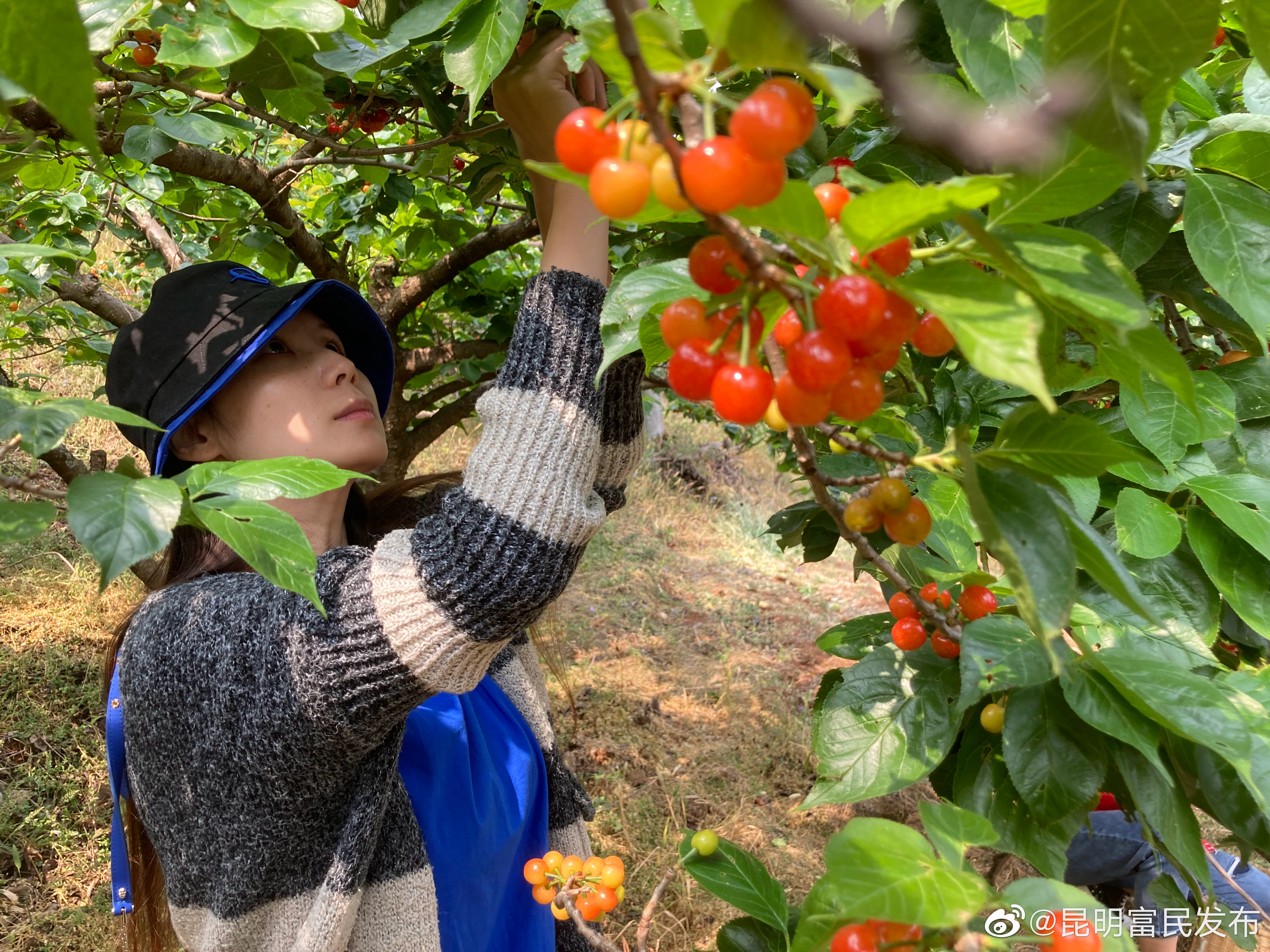 “昆明富民发布”微博