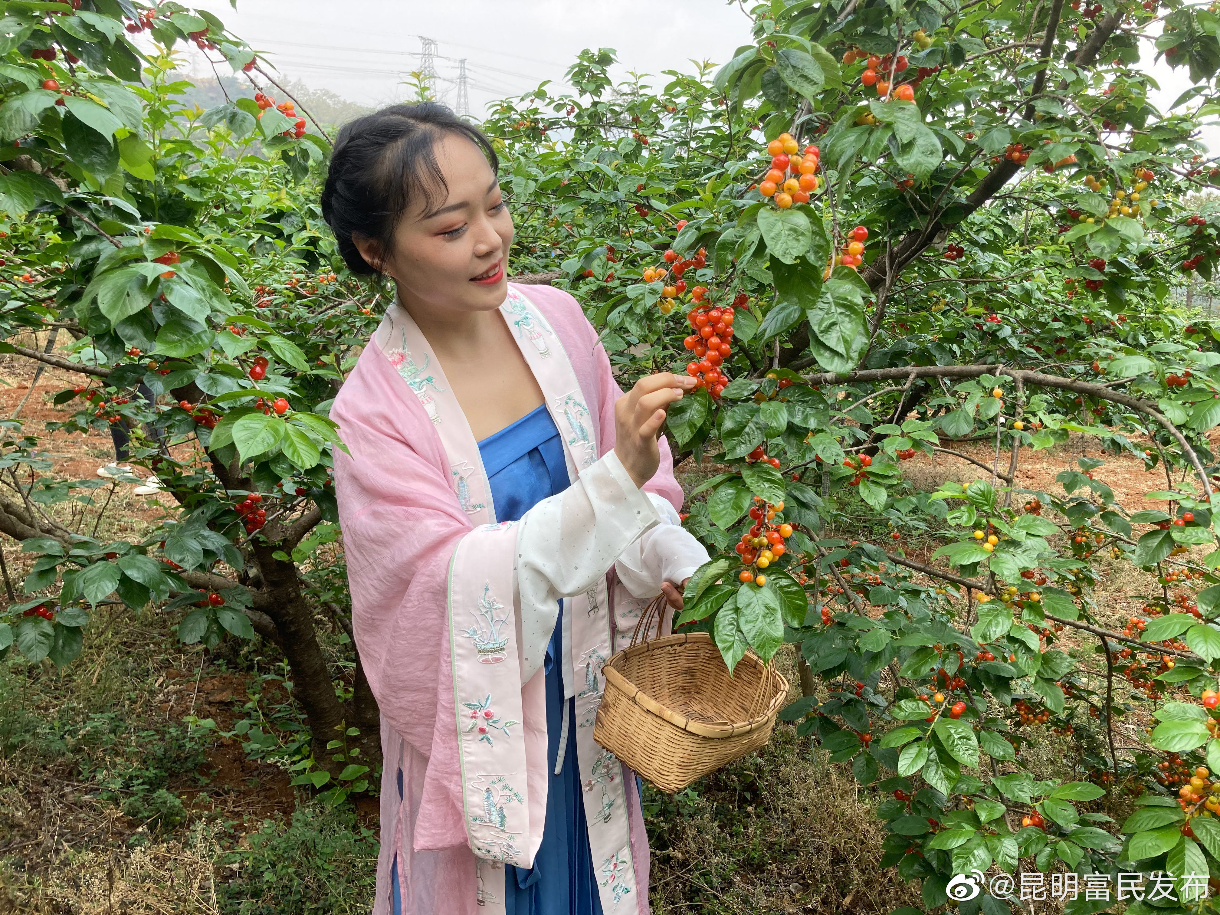 “昆明富民发布”微博