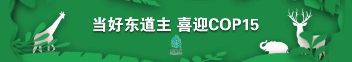 掌上春城(微信)