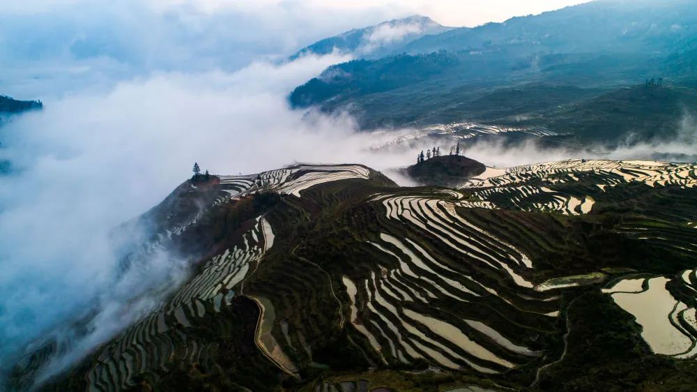 红河文旅(微信)