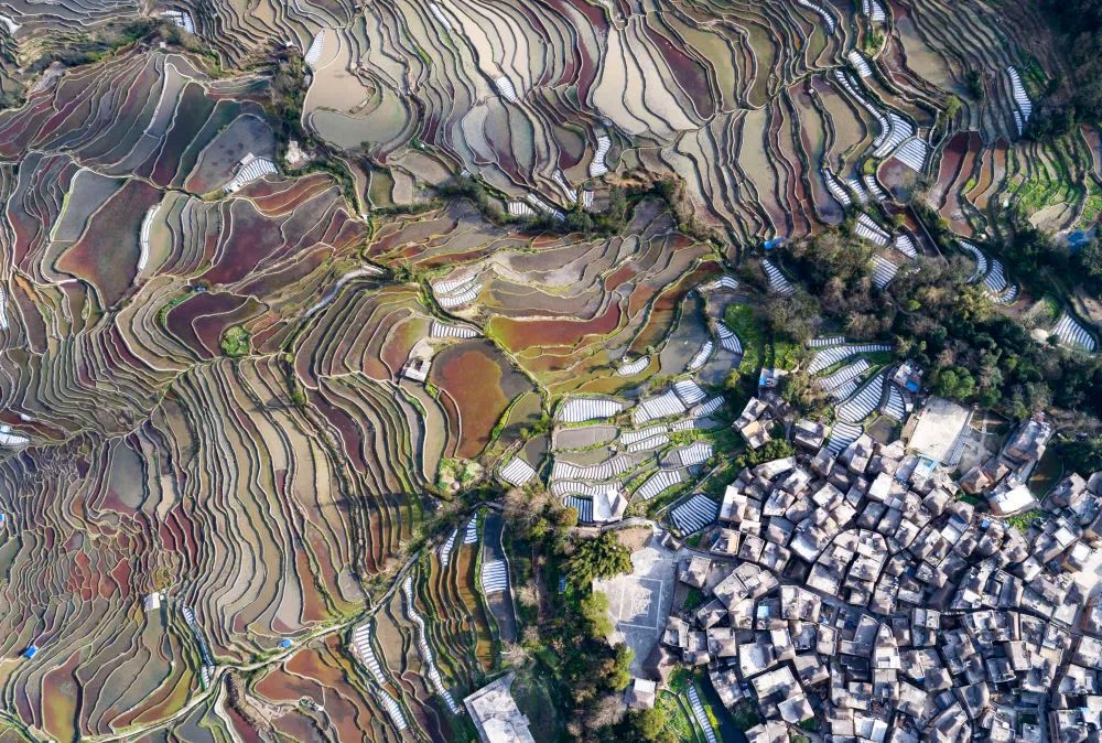 红河文旅(微信)