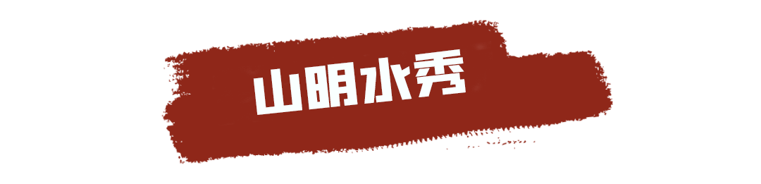 云南政协报(微信)