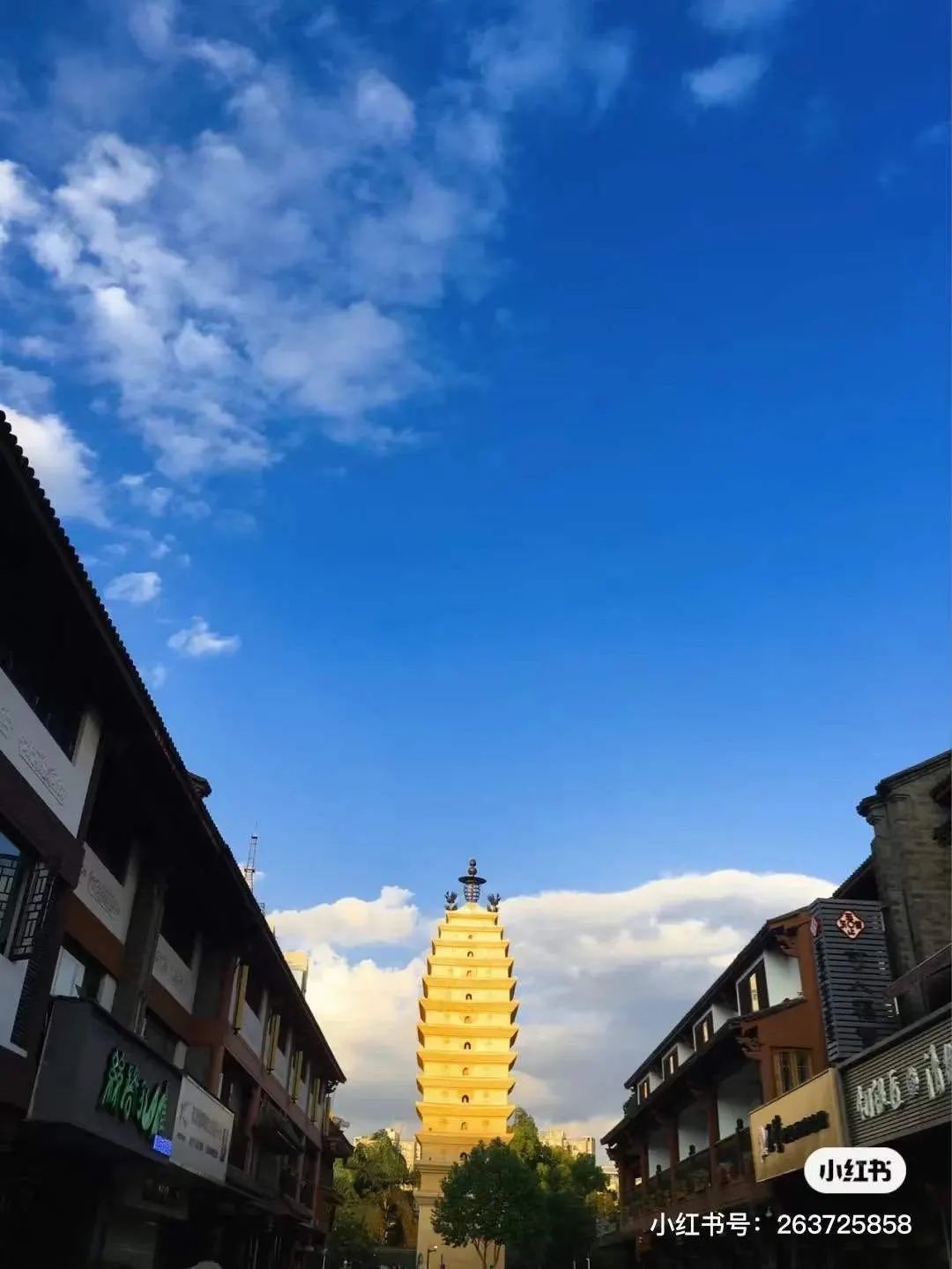 云南政协报(微信)