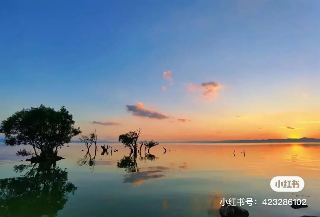云南政协报(微信)
