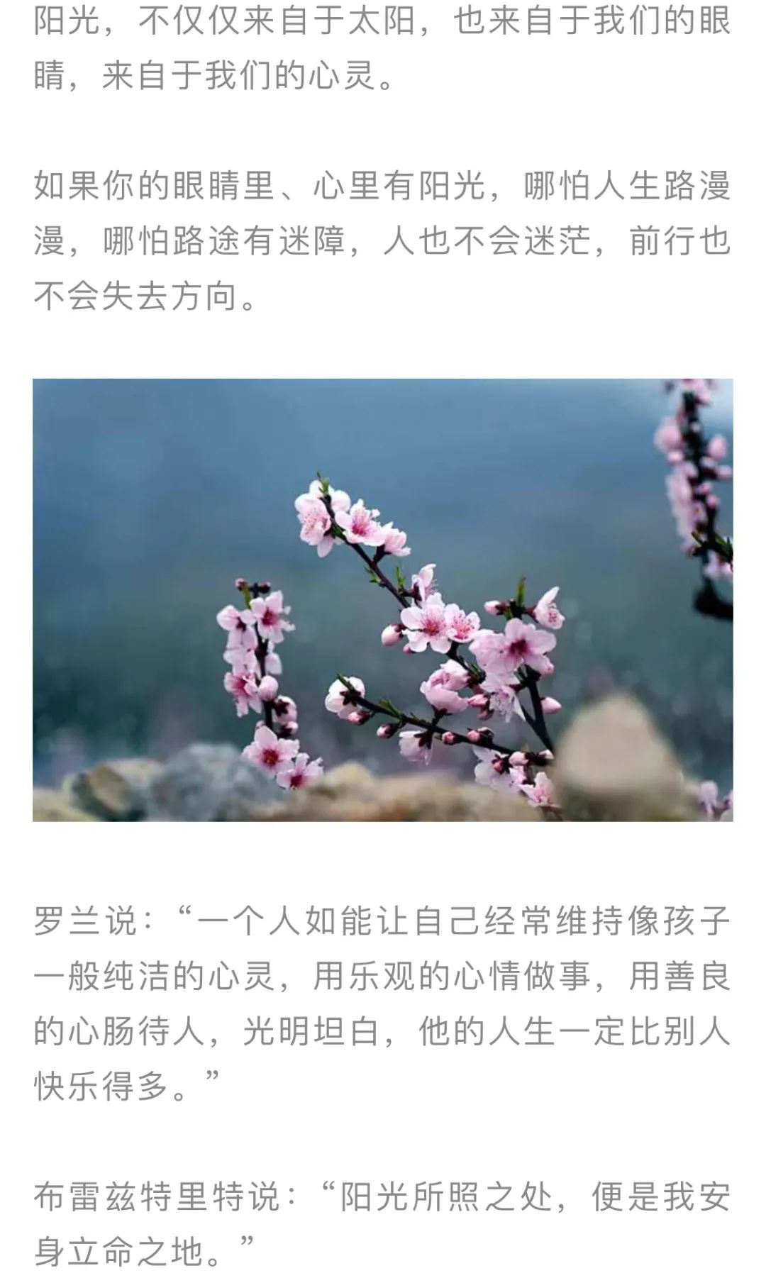 红色扎西(微信)