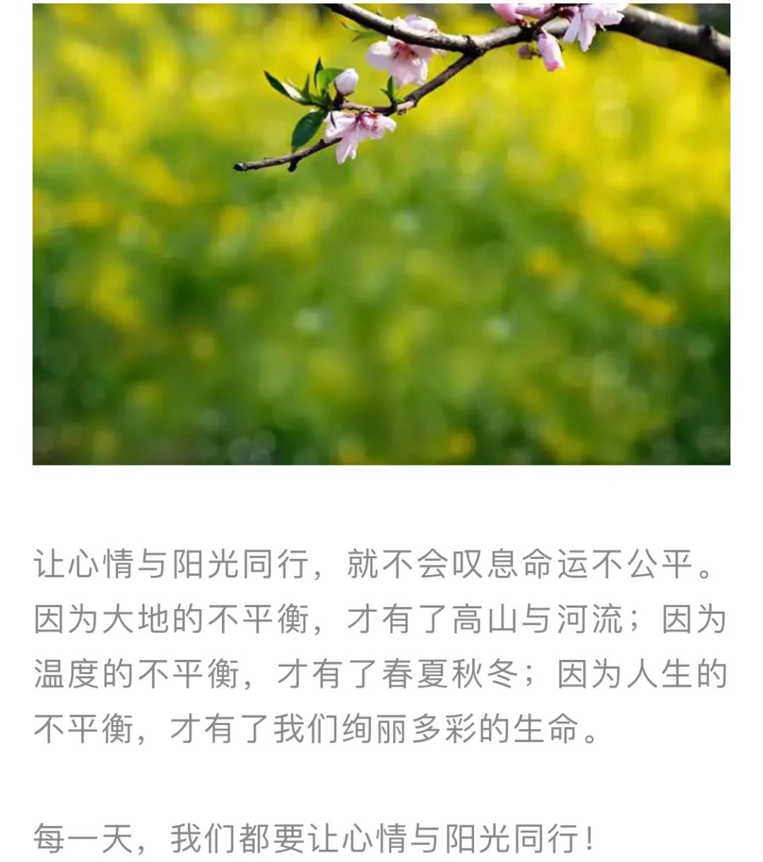 红色扎西(微信)