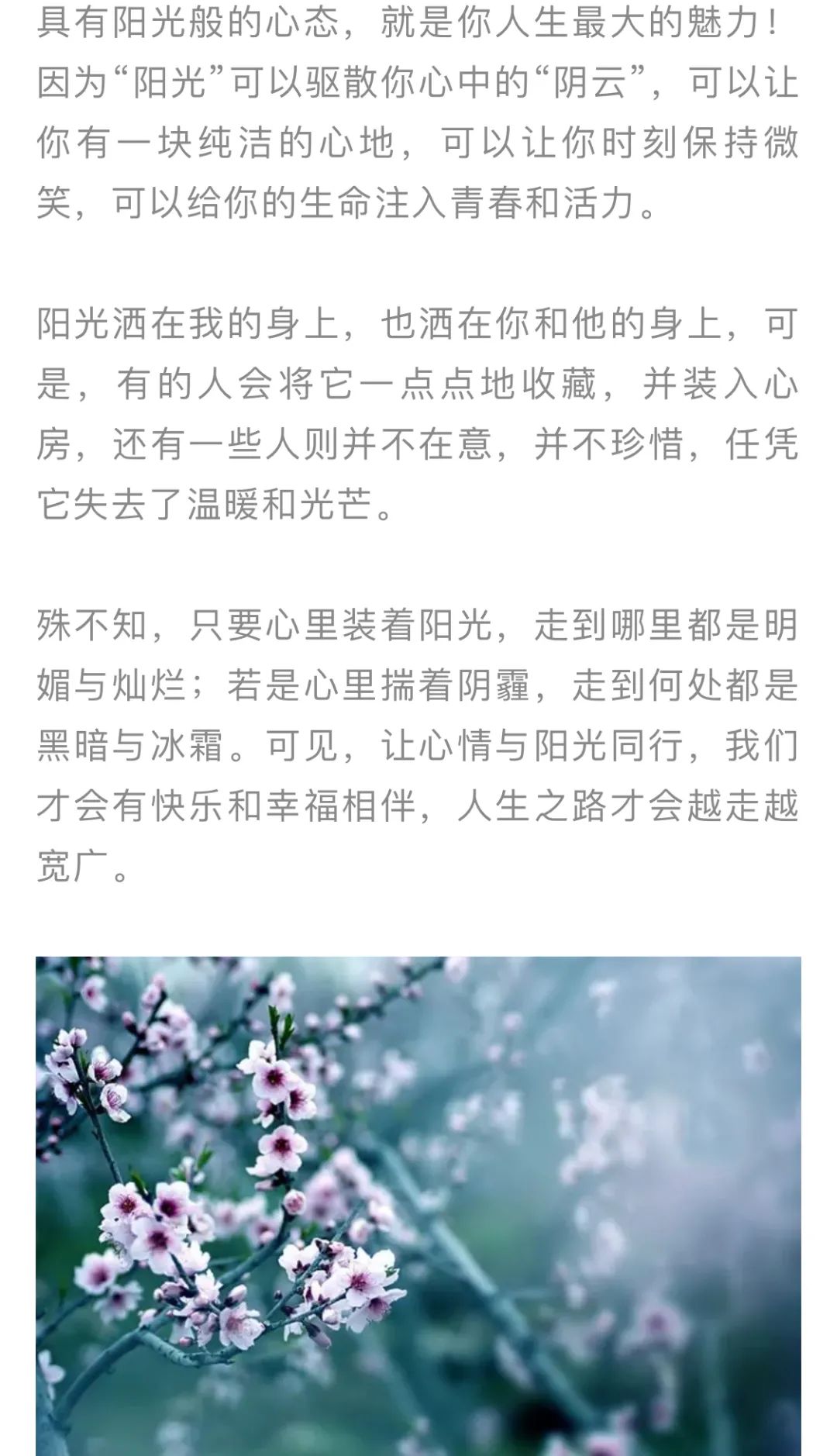 红色扎西(微信)