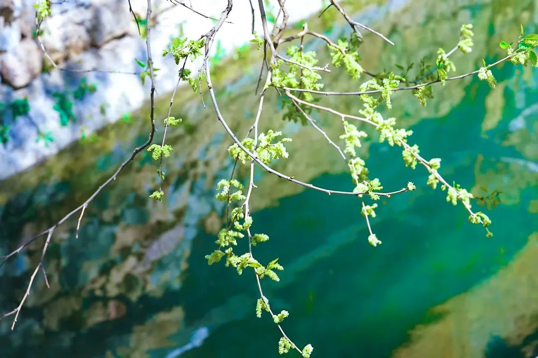 昆明阳宗海风景名胜区(微信)