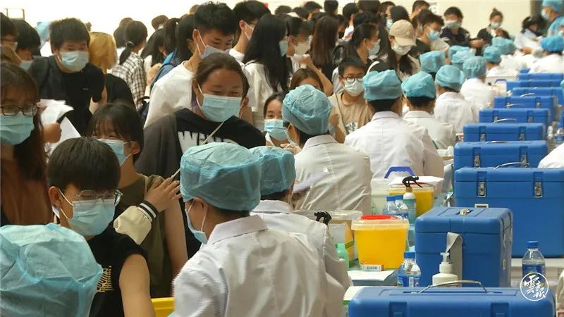 掌上春城(微信)