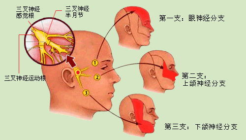 “昆明市西山区发布”微博