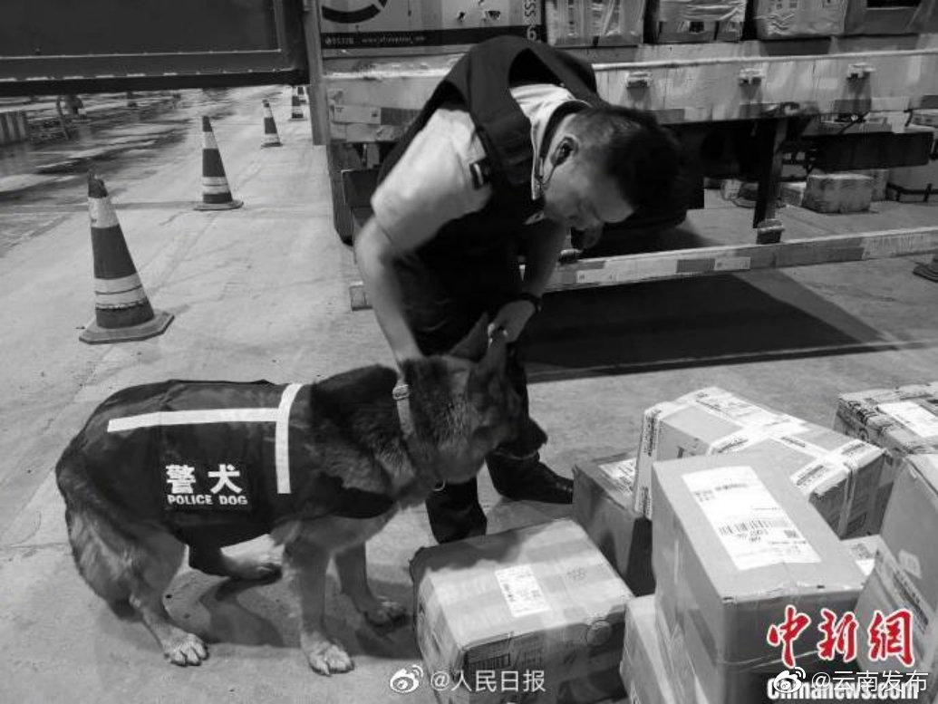 “云南发布”微博