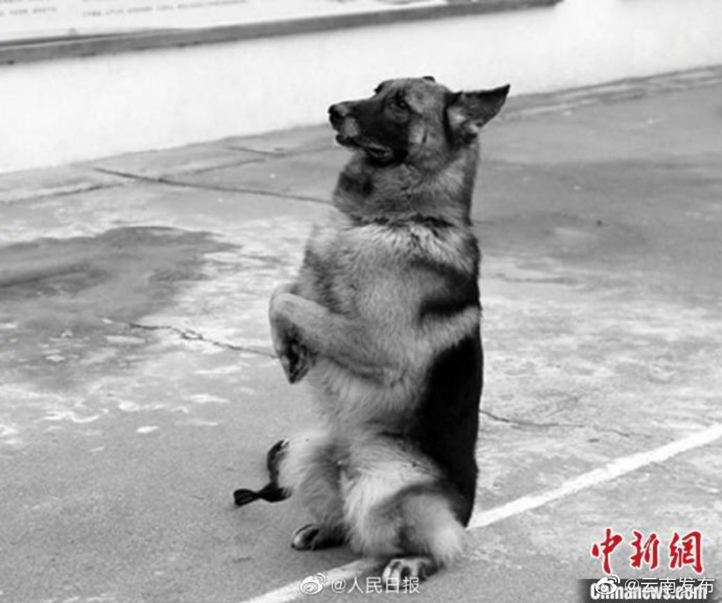 “云南发布”微博