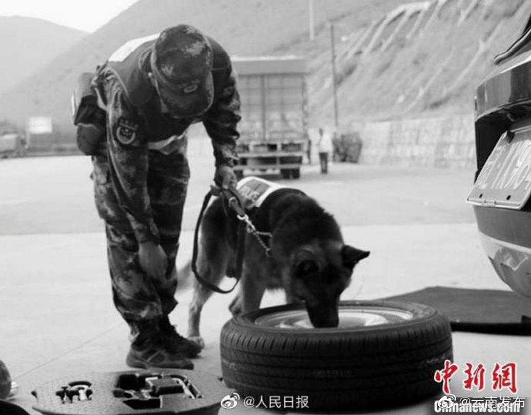 “云南发布”微博