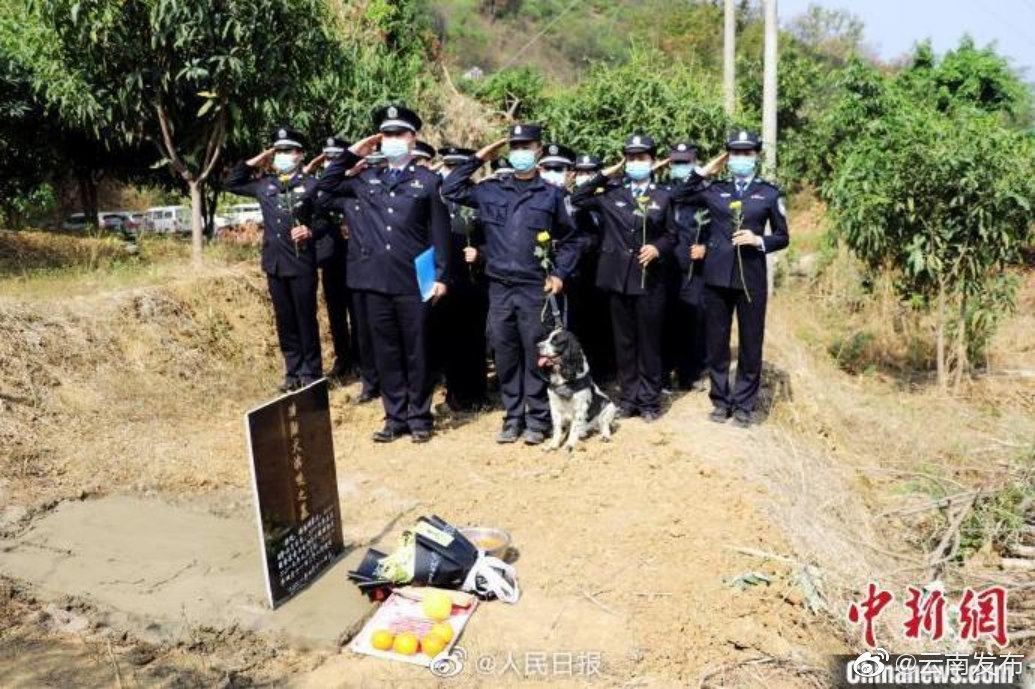 “云南发布”微博