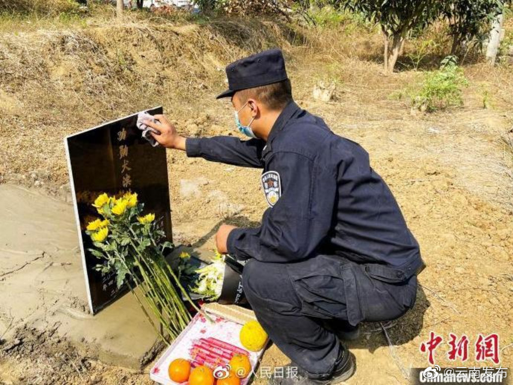 “云南发布”微博