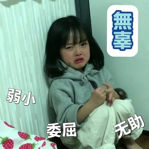 红河日报(微信)