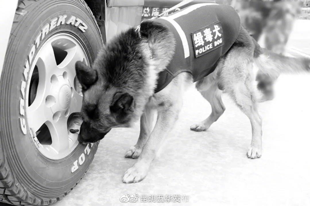 “昆明五华发布”微博