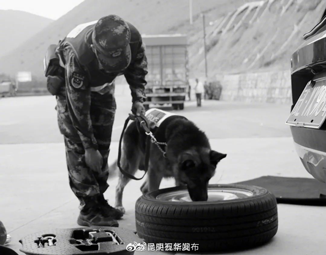 “昆明五华发布”微博