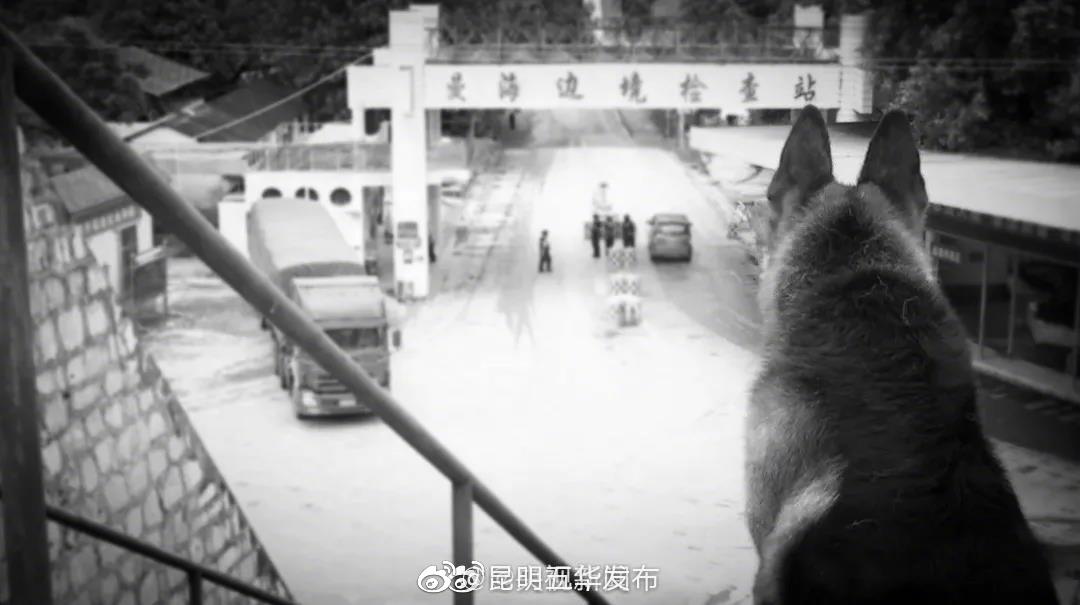 “昆明五华发布”微博