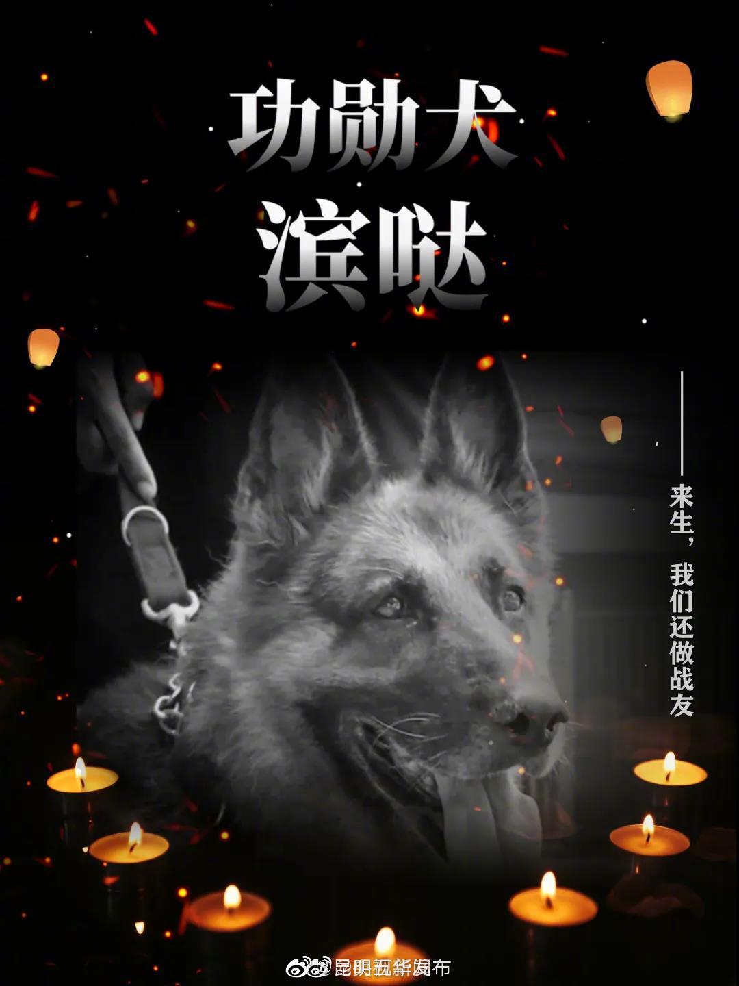 “昆明五华发布”微博