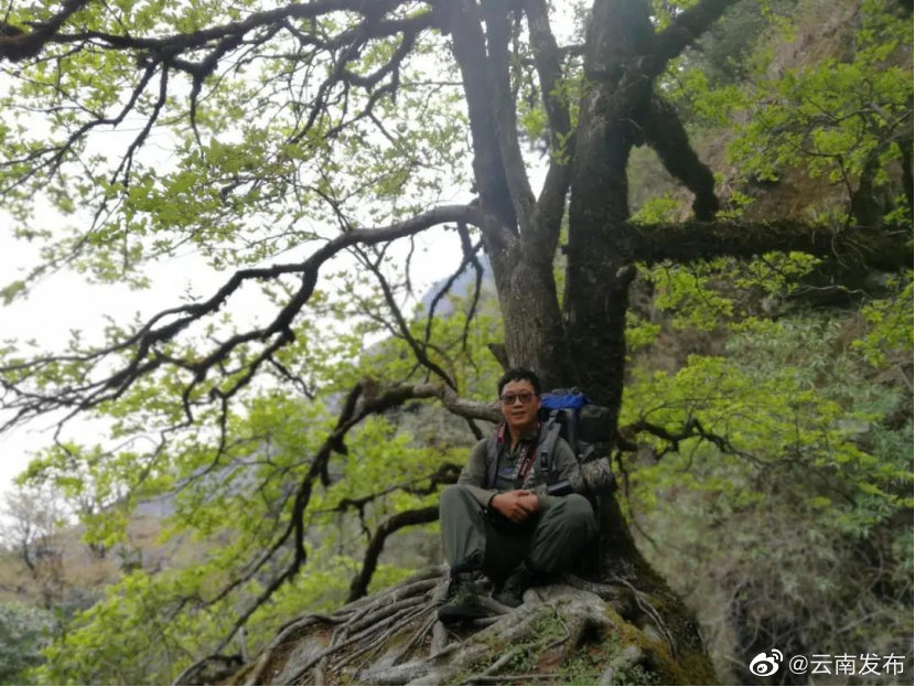“云南发布”微博