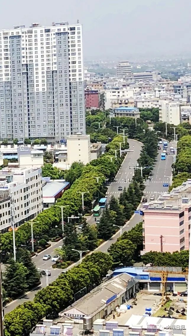 大理日报(微信)