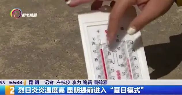 掌上春城(微信)