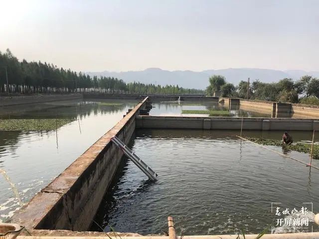 玉溪发布(微信)