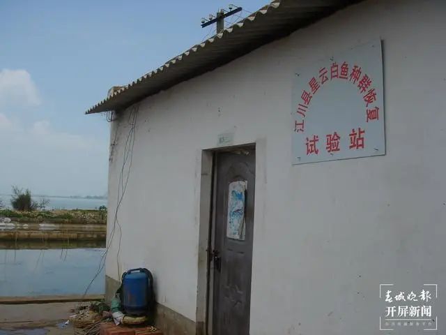 玉溪发布(微信)