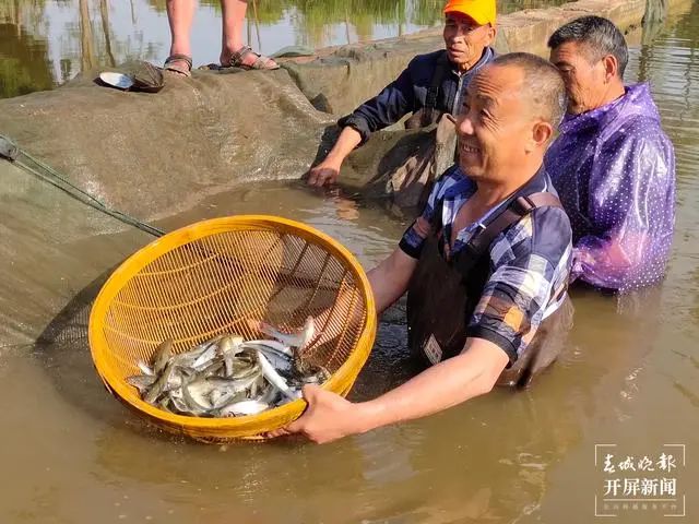 玉溪发布(微信)