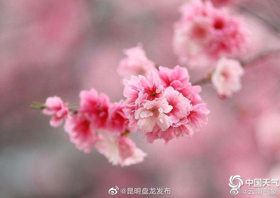 云南省未来24小时天气预报