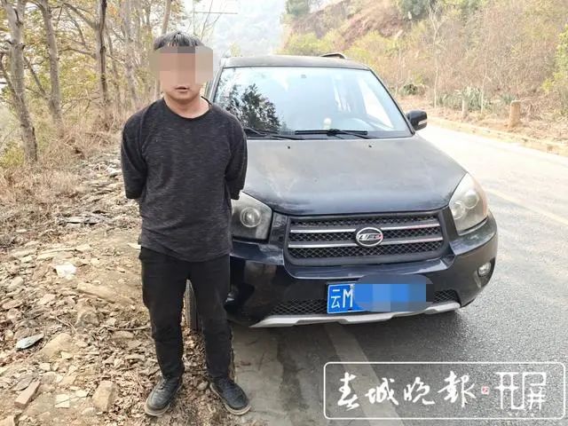春城晚报(微信)