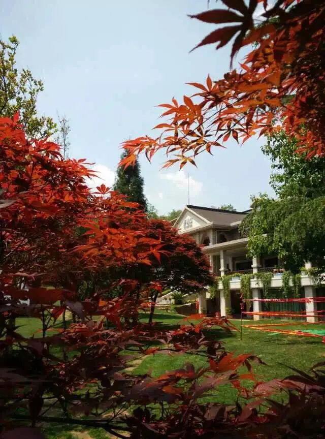 盘龙教育(微信)