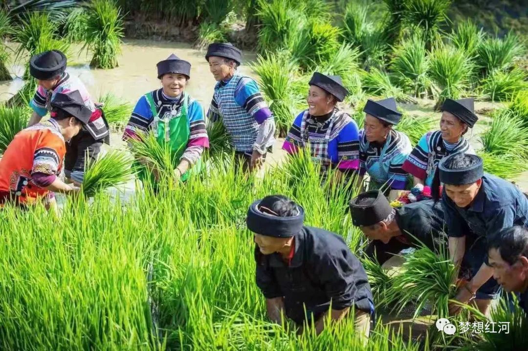 红河日报(微信)