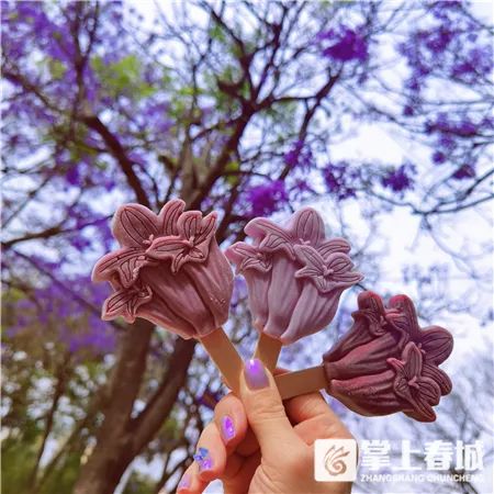 掌上春城(微信)