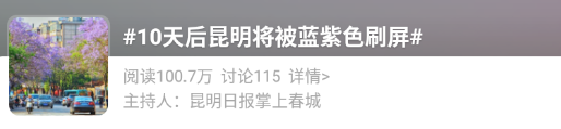掌上春城(微信)