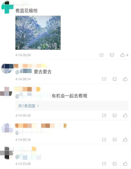 掌上春城(微信)