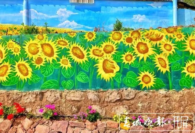 春城晚报(微信)
